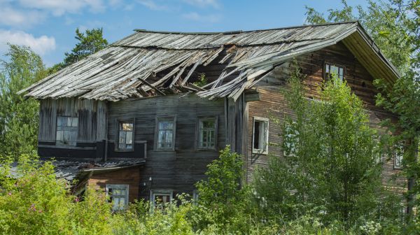 Cottage Demolition in Waterloo